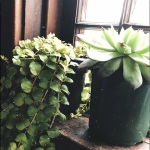 Meet your Posher, Aria